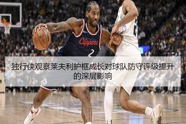 独行侠观察莱夫利护框成长对球队防守评级提升的深层影响